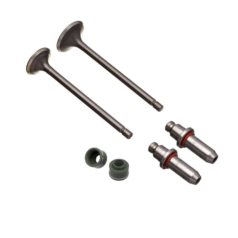 Valvula Guia E Retentor Kit (6pcs) Ww3 Cg 125 76/91 [F016]