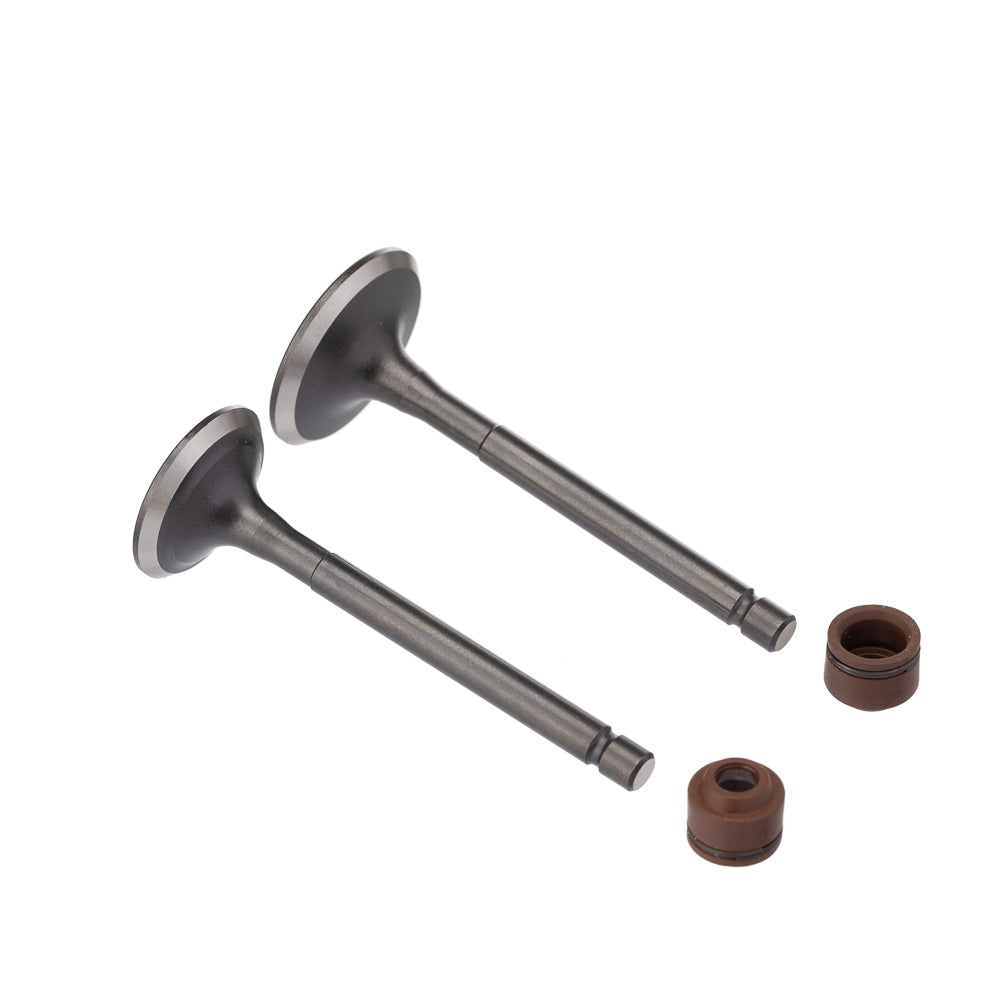 Valvula E Retentor Kit (4pcs) Ww3 Ybr 125 00/ Ret. Marrom [F016]